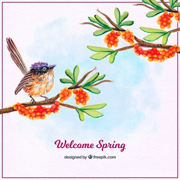 春季元素花鸟边框花边素材