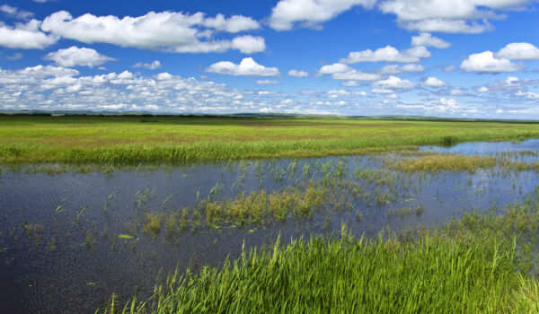 草原溪水风景图片