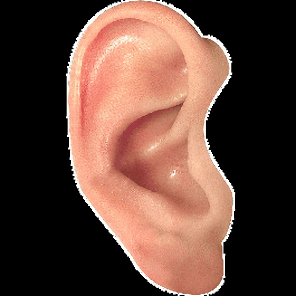 人的耳朵特写免抠png透明图层素材