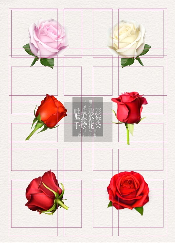 玫瑰素材彩色写实ai矢量元素