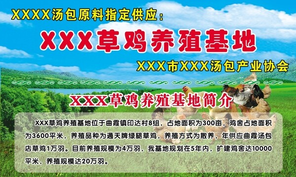 草鸡养殖基地介绍展板图片