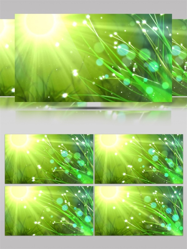 阳光绿叶视频素材