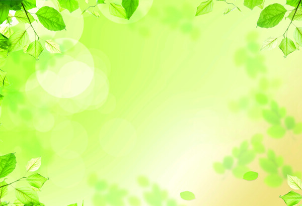 树叶时尚绿背景图图片