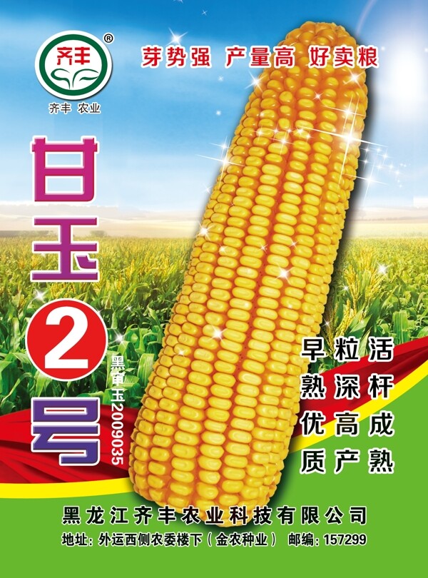 齐丰甘玉2号玉米宣传单