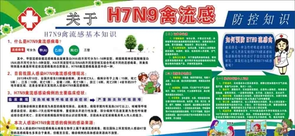 H7N9健康教育展板图片
