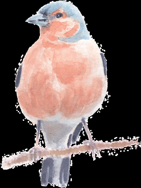 站在树干上的粉色小鸟水彩透明素材