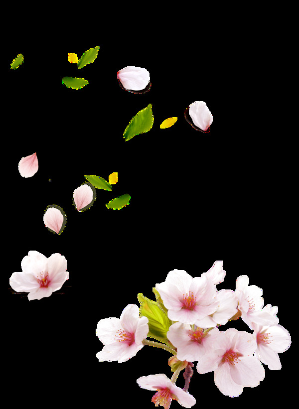 粉色桃花花瓣元素