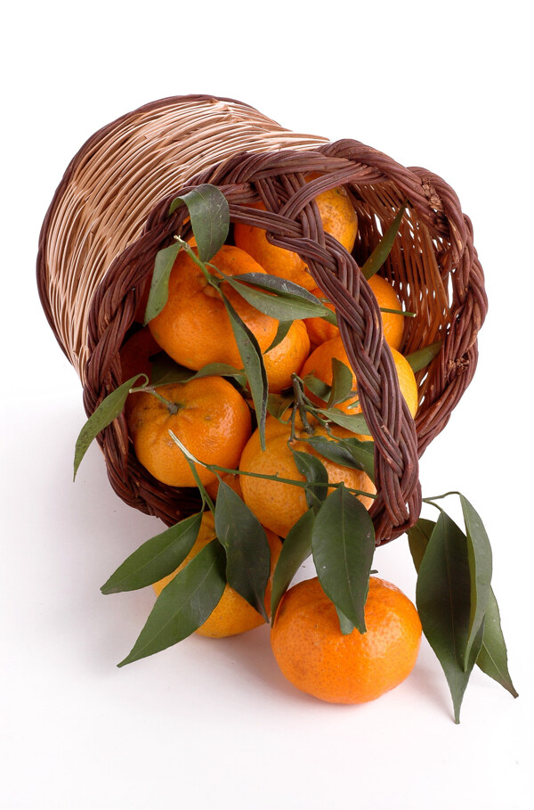 竹篮里的橘子