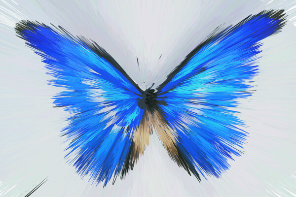 蝴蝶花纹背景素材图片