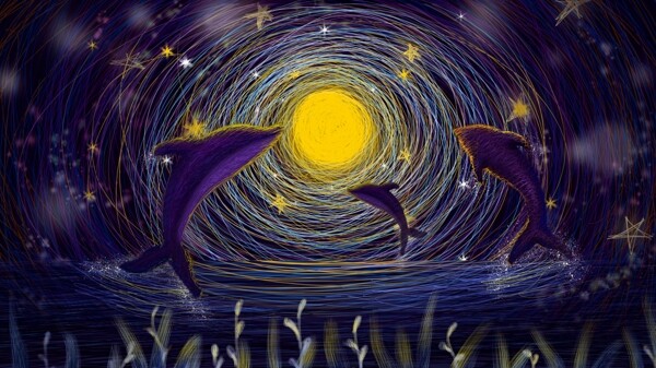 线圈治愈奇妙星空下的海豚