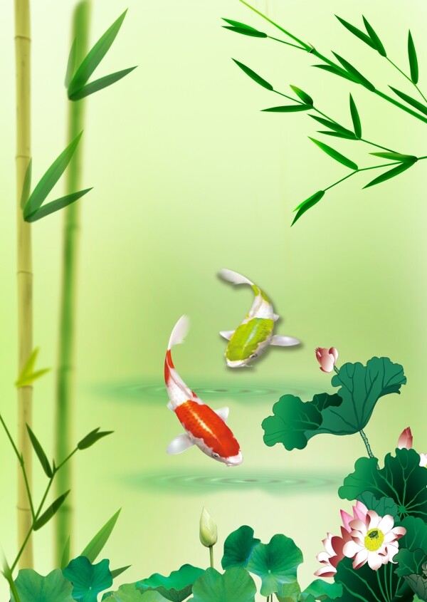 竹子鲤鱼图片