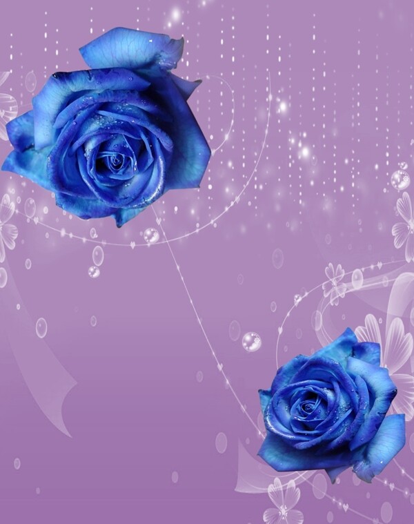 蓝玫瑰移门图片