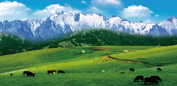 新疆风景图