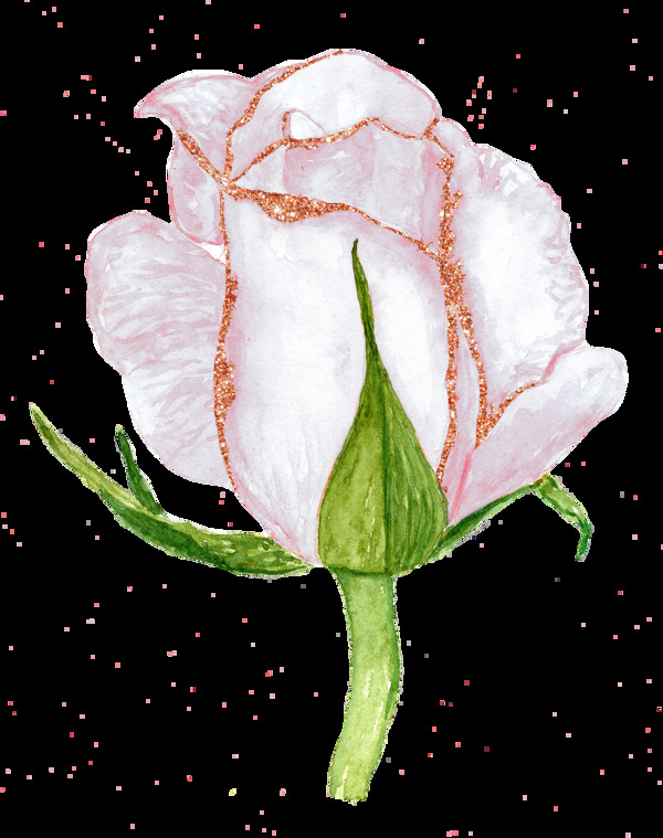 手绘一朵逼真的玫瑰png透明素材
