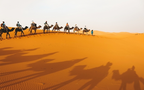 沙漠骆驼队伍摄影