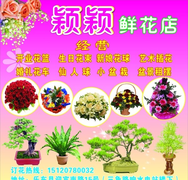 颖颖鲜花店图片