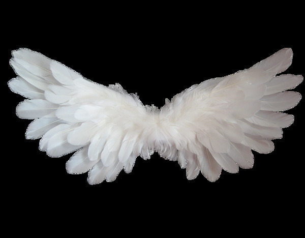 白色翅膀png元素
