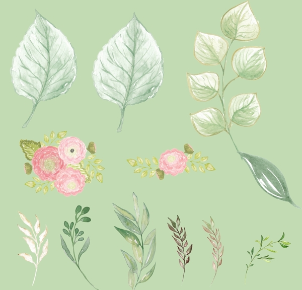 手绘插画植物绿叶花