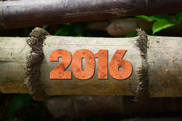 竹子上的2016新年艺术字