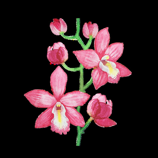 甜蜜粉色花卉透明装饰素材