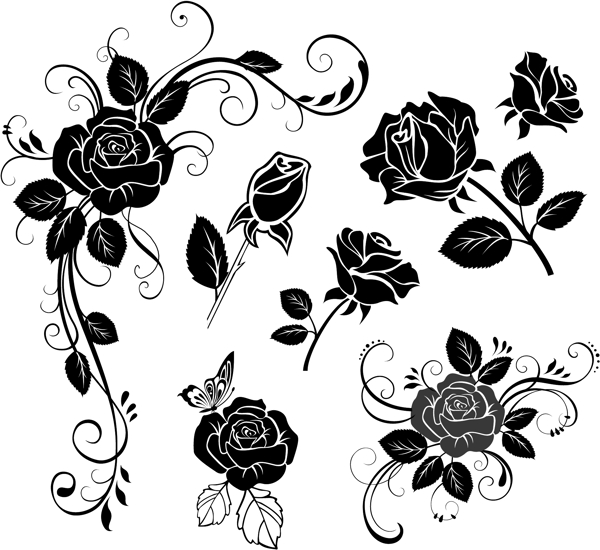 玫瑰花朵手绘