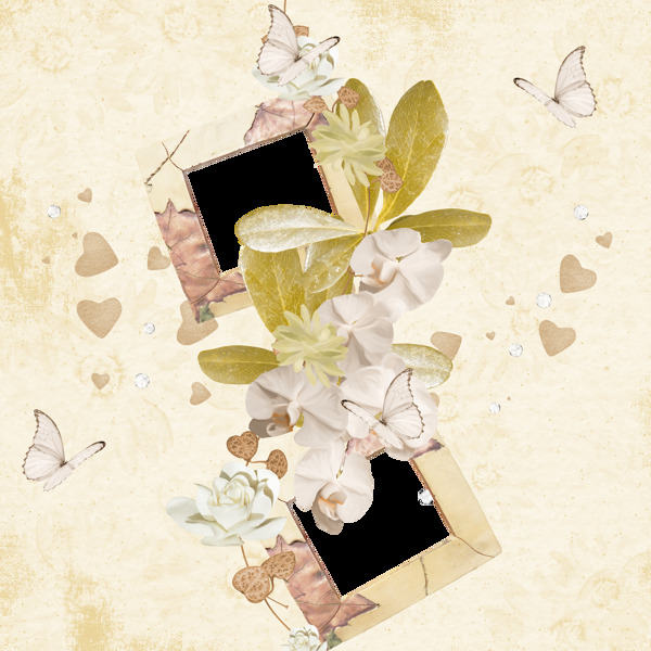 花朵蝴蝶相框相片背景设计图片