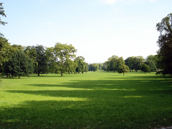 德国皇家公园内的草坪图片