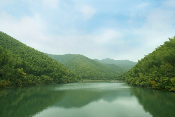 南山竹海风景图片