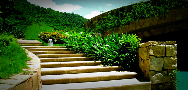 绿色的台阶