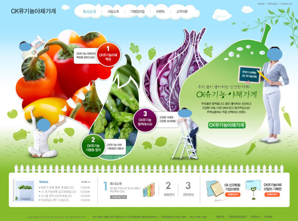 韩国绿色营养师网页PSD模板