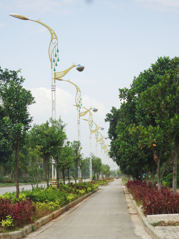 云南德宏芒市机场大道路边自然风景图片