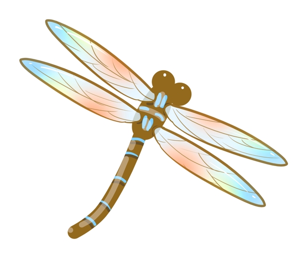 昆虫蜻蜓图案