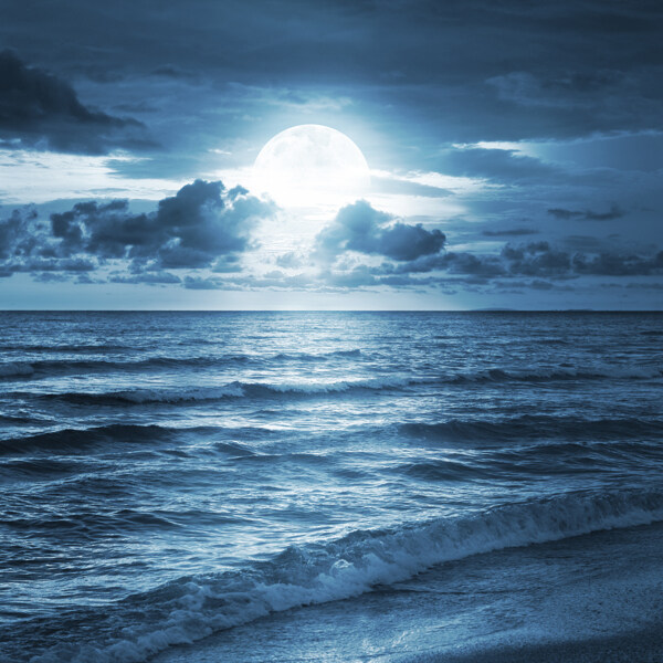 海边月夜景色图片