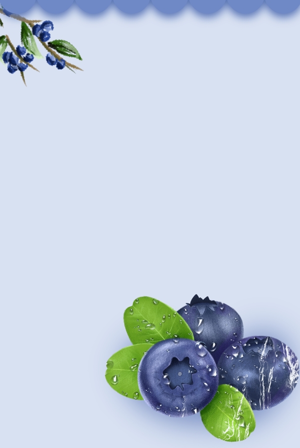 进口食品水果蓝莓背景