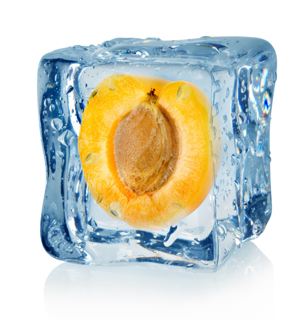 冰冻的杏子图片