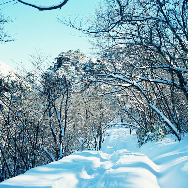 冬天雪景