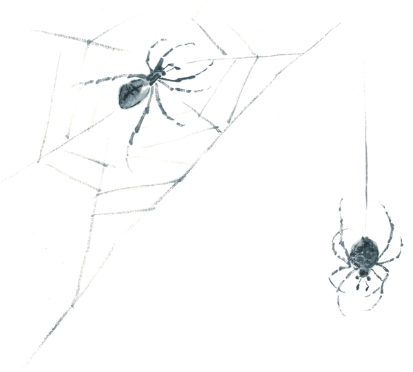 水墨风格的蜘蛛图片