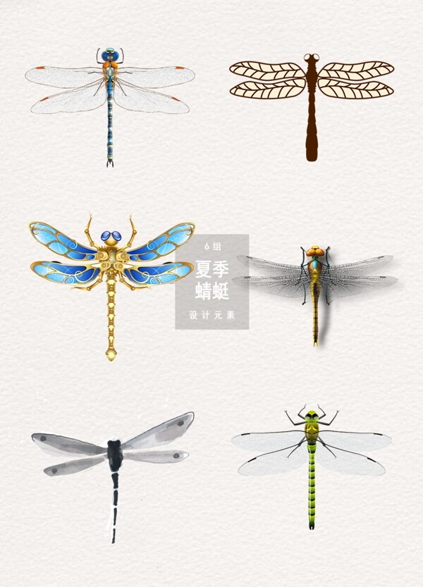夏季蜻蜓图案装饰元素