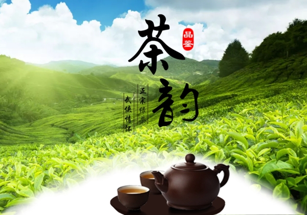 茶叶宣传海报设计
