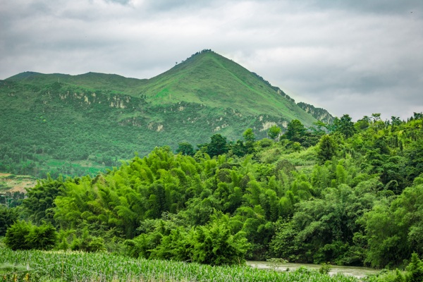 青山