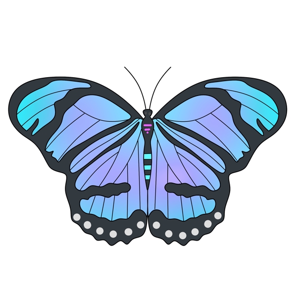 美丽的彩色蝴蝶插画