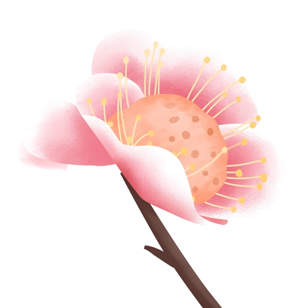 温馨浪漫一朵粉色的花设计