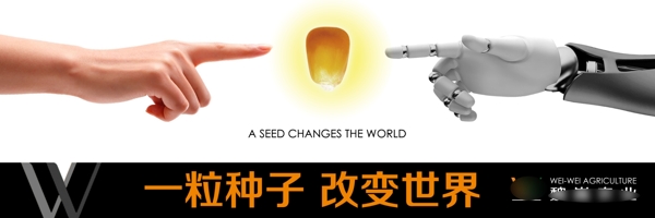 一粒种子改变世界海报