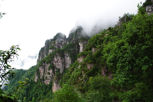 雨间莲花山图片