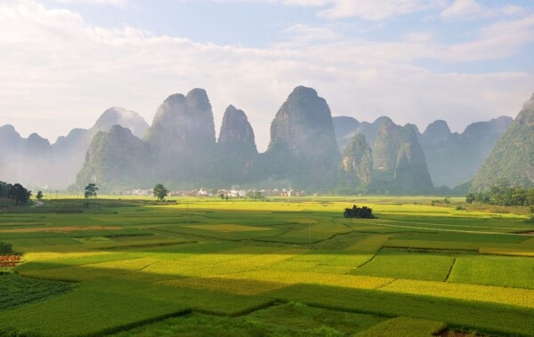 山村水稻景观图片