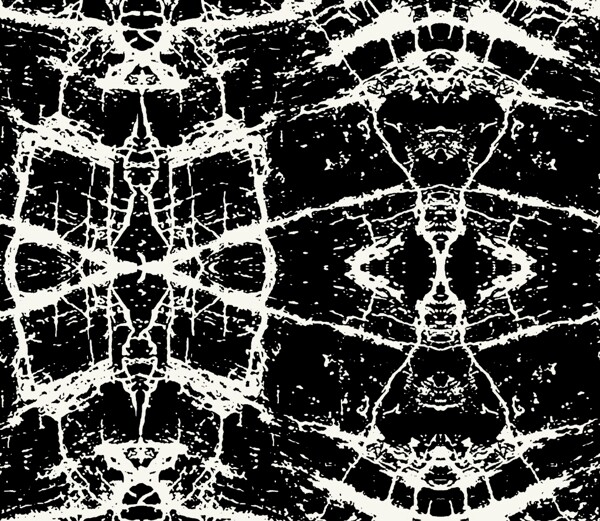 黑白纹路特效玻璃蜘蛛网
