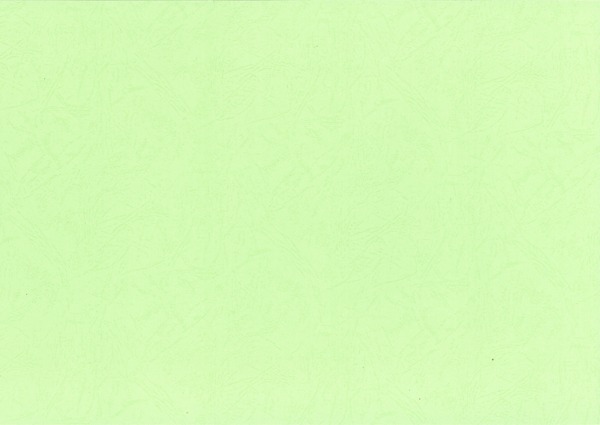 绿色皮纹纸