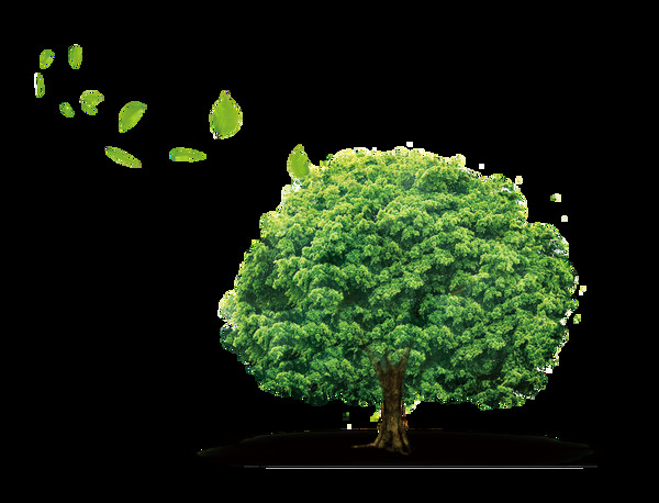 创意绿色大树透明素材