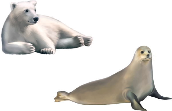 海豹北极熊图片