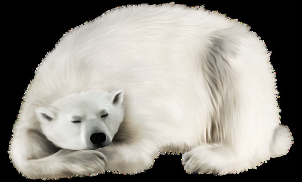 睡觉的北极熊免抠png透明图层素材